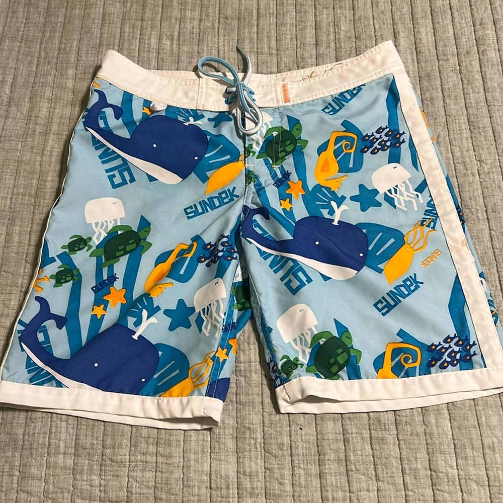 🔥🔥SUNDEK swim trunks